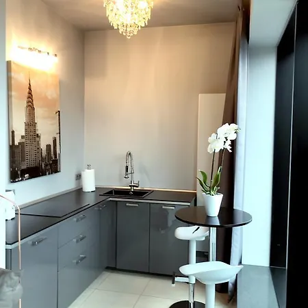 Panorama Polwiejska 아파트 포즈난